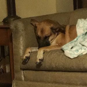 Meet your Posher, Cheri